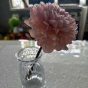 ヒメ日記 2025/06/01 18:19 投稿 蓬莱　せんり エテルナ京都