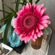 ヒメ日記 2025/06/04 16:13 投稿 蓬莱　せんり エテルナ京都