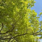 ヒメ日記 2025/06/22 23:06 投稿 蓬莱　せんり エテルナ京都