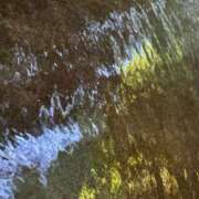 ヒメ日記 2025/07/08 07:17 投稿 蓬莱　せんり エテルナ京都