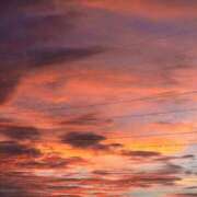 ヒメ日記 2025/07/18 04:48 投稿 蓬莱　せんり エテルナ京都