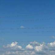 ヒメ日記 2025/07/22 15:18 投稿 蓬莱　せんり エテルナ京都