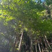 ヒメ日記 2025/07/24 13:29 投稿 蓬莱　せんり エテルナ京都