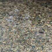 ヒメ日記 2025/07/28 14:00 投稿 蓬莱　せんり エテルナ京都