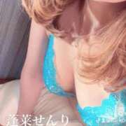 ヒメ日記 2025/08/01 03:31 投稿 蓬莱　せんり エテルナ京都