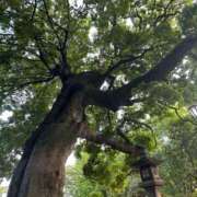 ヒメ日記 2025/08/04 14:14 投稿 蓬莱　せんり エテルナ京都