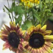 ヒメ日記 2025/08/08 18:07 投稿 蓬莱　せんり エテルナ京都