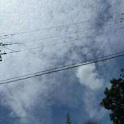 ヒメ日記 2025/08/13 11:41 投稿 蓬莱　せんり エテルナ京都