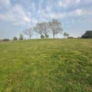 ヒメ日記 2025/09/02 04:38 投稿 蓬莱　せんり エテルナ京都