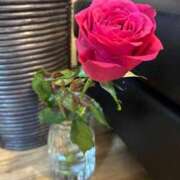 ヒメ日記 2025/10/06 13:54 投稿 蓬莱　せんり エテルナ京都