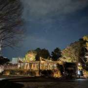 ヒメ日記 2025/10/20 15:37 投稿 蓬莱　せんり エテルナ京都