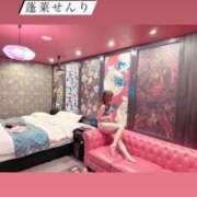 ヒメ日記 2025/11/03 10:01 投稿 蓬莱　せんり エテルナ京都