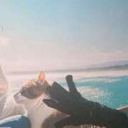 ヒメ日記 2025/12/15 15:26 投稿 蓬莱　せんり エテルナ京都