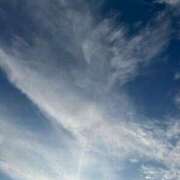 ヒメ日記 2025/12/19 15:17 投稿 蓬莱　せんり エテルナ京都