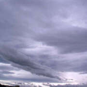 ヒメ日記 2025/03/06 08:40 投稿 いずみ 奥鉄オクテツ大阪