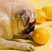 ヒメ日記 2025/03/07 14:20 投稿 いずみ 奥鉄オクテツ大阪