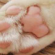 ヒメ日記 2025/04/10 09:10 投稿 いずみ 奥鉄オクテツ大阪