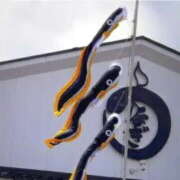 ヒメ日記 2025/05/05 21:20 投稿 いずみ 奥鉄オクテツ大阪