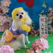 ヒメ日記 2025/05/07 15:20 投稿 いずみ 奥鉄オクテツ大阪