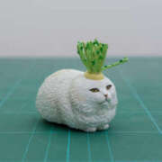 ヒメ日記 2025/05/12 13:10 投稿 いずみ 奥鉄オクテツ大阪