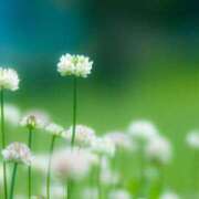 ヒメ日記 2025/05/15 08:35 投稿 いずみ 奥鉄オクテツ大阪