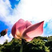 ヒメ日記 2025/05/16 11:55 投稿 いずみ 奥鉄オクテツ大阪