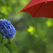 ヒメ日記 2025/05/17 09:10 投稿 いずみ 奥鉄オクテツ大阪