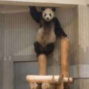 ヒメ日記 2025/05/31 12:40 投稿 いずみ 奥鉄オクテツ大阪