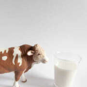 ヒメ日記 2025/06/01 07:35 投稿 いずみ 奥鉄オクテツ大阪