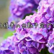 ヒメ日記 2025/06/03 20:00 投稿 いずみ 奥鉄オクテツ大阪