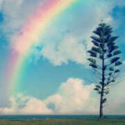 ヒメ日記 2025/06/13 19:30 投稿 いずみ 奥鉄オクテツ大阪