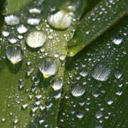 ヒメ日記 2025/06/15 07:55 投稿 いずみ 奥鉄オクテツ大阪