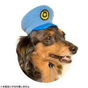 ヒメ日記 2025/06/17 07:15 投稿 いずみ 奥鉄オクテツ大阪