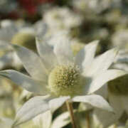 ヒメ日記 2025/06/18 06:55 投稿 いずみ 奥鉄オクテツ大阪