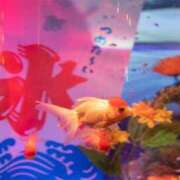 ヒメ日記 2025/06/20 07:05 投稿 いずみ 奥鉄オクテツ大阪