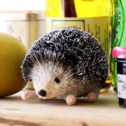 ヒメ日記 2025/07/02 10:30 投稿 いずみ 奥鉄オクテツ大阪