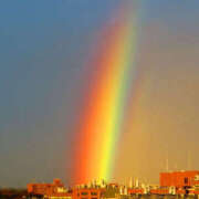 ヒメ日記 2025/07/16 11:45 投稿 いずみ 奥鉄オクテツ大阪