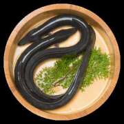 ヒメ日記 2025/07/31 07:00 投稿 いずみ 奥鉄オクテツ大阪