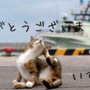 ヒメ日記 2025/08/01 09:00 投稿 いずみ 奥鉄オクテツ大阪