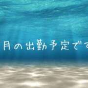 ヒメ日記 2025/08/01 09:45 投稿 いずみ 奥鉄オクテツ大阪