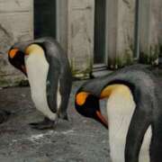 ヒメ日記 2025/08/02 06:20 投稿 いずみ 奥鉄オクテツ大阪