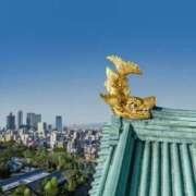 ヒメ日記 2025/08/22 09:00 投稿 いずみ 奥鉄オクテツ大阪