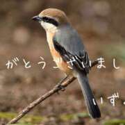 ヒメ日記 2025/08/27 19:30 投稿 いずみ 奥鉄オクテツ大阪