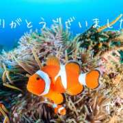 ヒメ日記 2025/09/11 19:50 投稿 いずみ 奥鉄オクテツ大阪