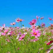 ヒメ日記 2025/09/14 09:20 投稿 いずみ 奥鉄オクテツ大阪