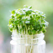 ヒメ日記 2025/09/18 08:25 投稿 いずみ 奥鉄オクテツ大阪