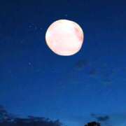 ヒメ日記 2025/10/07 08:55 投稿 いずみ 奥鉄オクテツ大阪