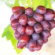 ヒメ日記 2025/10/11 10:30 投稿 いずみ 奥鉄オクテツ大阪