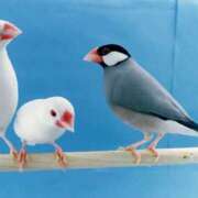 ヒメ日記 2025/10/24 08:50 投稿 いずみ 奥鉄オクテツ大阪