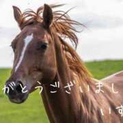 ヒメ日記 2025/11/02 09:00 投稿 いずみ 奥鉄オクテツ大阪